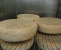 La production fromagère de la ferme