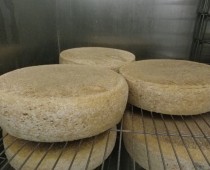 Tomme de Brie