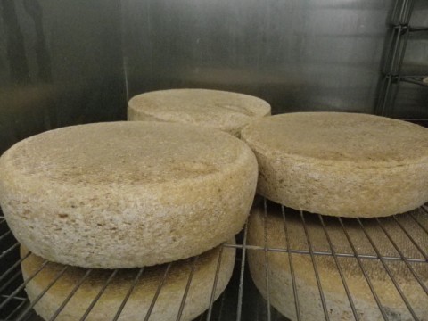 La production fromagère de la ferme