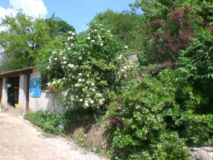 ferme de saint thibault