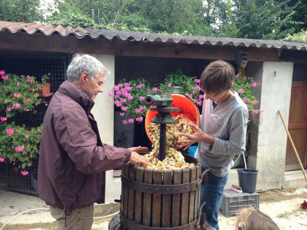 Vente jus de pommes pressées sur place