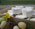 Le fromage frais St Didier, nouvelle création fromagère
