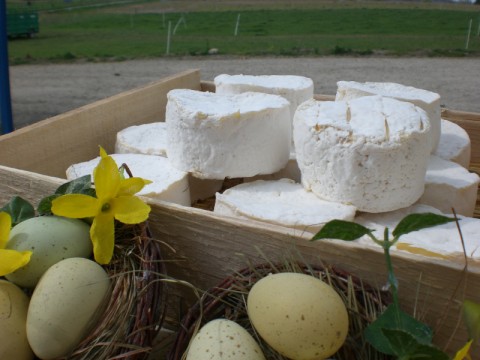 Le fromage frais St Didier, nouvelle création fromagère