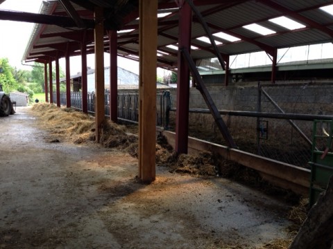 Un nouveau bâtiment d’élevage à la Ferme de Saint Thibault