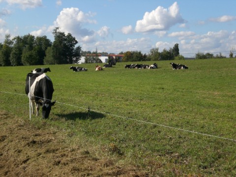 Saint-Thibault-des-Vignes, un territoire d’exception