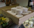 Les produits de la ferme Saint Thibault récompensés à la Foire aux Fromages de Coulommiers