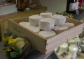 Les produits de la ferme Saint Thibault récompensés à la Foire aux Fromages de Coulommiers