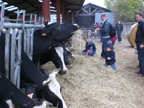 Balade du goût 2015 – La ferme de St Thibault vous remercie