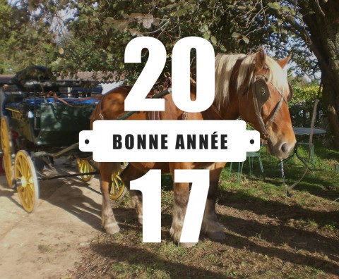 La ferme de Saint Thibault vous souhaite une excellente année 2017 !