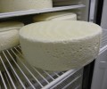 Le caillage du lait : étape de base de la création d’un fromage !