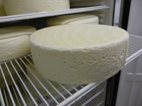 Le caillage du lait : étape de base de la création d’un fromage !