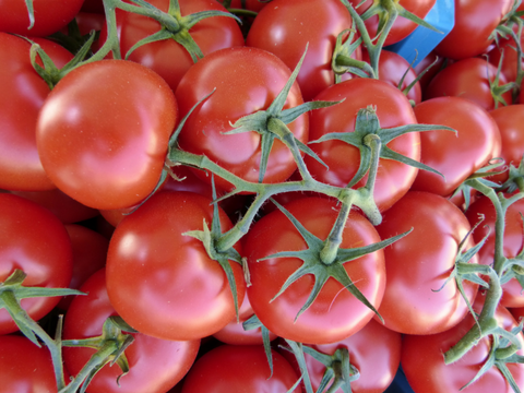 Les bienfaits de la tomate