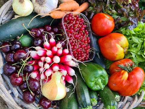 Arrivée de légumes et recette de tian aux légumes