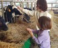 La balade du goût revient à la Ferme de Saint Thibault !