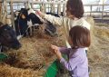 La balade du goût revient à la Ferme de Saint Thibault !