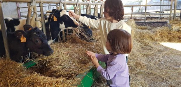 La balade du goût revient à la Ferme de Saint Thibault !